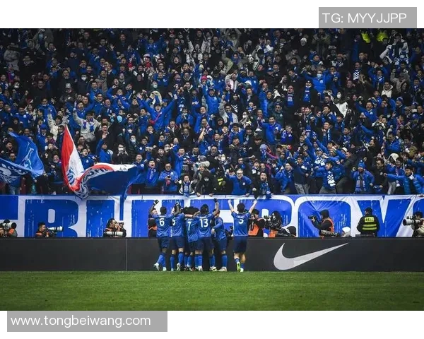 亚冠激战申花对决狮吼精彩比分揭晓赛场风云再起