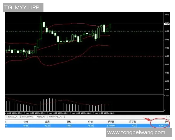 多伦多与芝加哥精彩对决直播全程回顾与分析