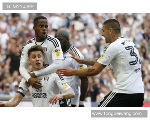 富勒姆与加的对决精彩纷呈谁能在英超赛场上笑到最后