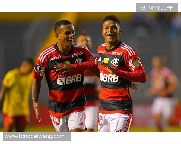 帕尔梅拉丝与弗拉门戈的巅峰对决谁将赢得巴西足球的荣耀