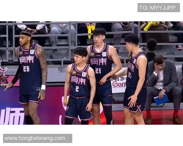 张昊：从普通少年到篮球明星的奋斗历程与成长故事