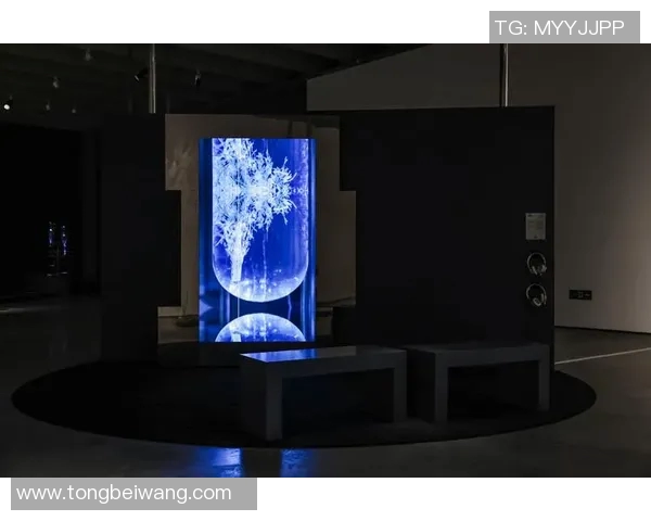 李泓澎：在科技与艺术交汇处的创新探索与实践之旅