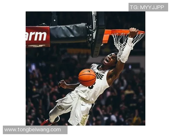 杰登艾维的篮球之路：从新星崛起到NBA未来之星的精彩旅程