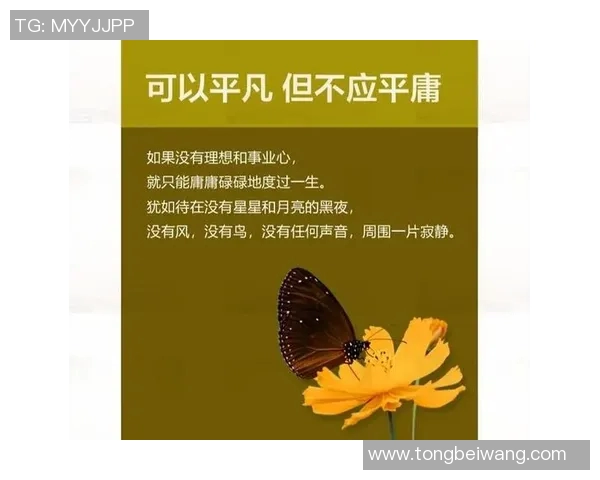 王汝恒的奋斗历程与人生哲学探索：从平凡到卓越的心路历程