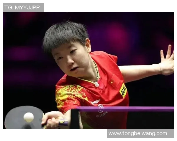 2015年新疆与福建激战回顾精彩瞬间与赛场亮点全解析