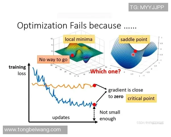 布莱克尼的魅力探秘与历史遗迹的深度游览攻略