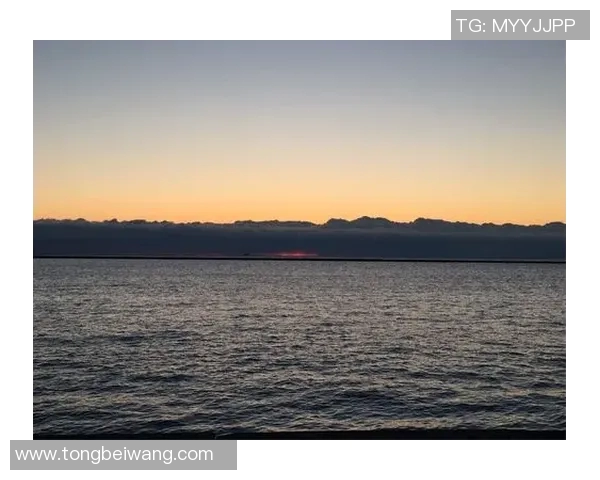 皇家盐湖与芝加哥火的激烈对决谁能笑到最后