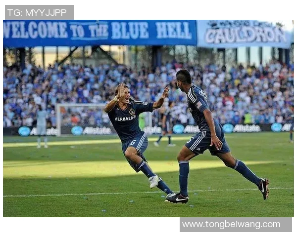 萨斯菲与拉普体操的精彩对决揭示体操竞技的魅力与挑战