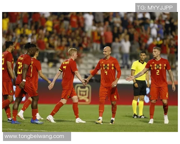 2018年世界杯预选赛埃及与刚果激战回顾及精彩瞬间分析 2018年世界杯预选赛埃及与刚果激战回顾及精彩瞬间分析