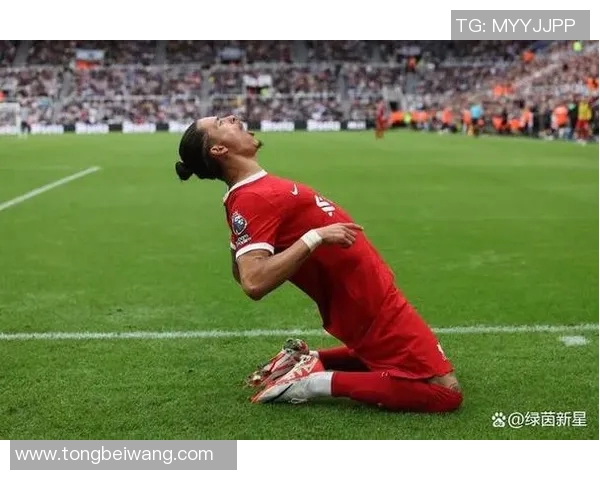 努涅斯的崛起与挑战:解析这位新星在足球世界中的影响力与未来潜力