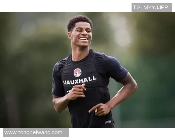 惠灵顿圣徒迎战南部鲨鱼激战在即球迷期待精彩对决