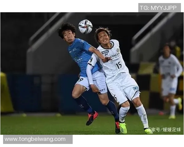 德岛旋涡与金泽的魅力碰撞探索两地文化与自然之美 德岛旋涡与金泽的魅力碰撞探索两地文化与自然之美