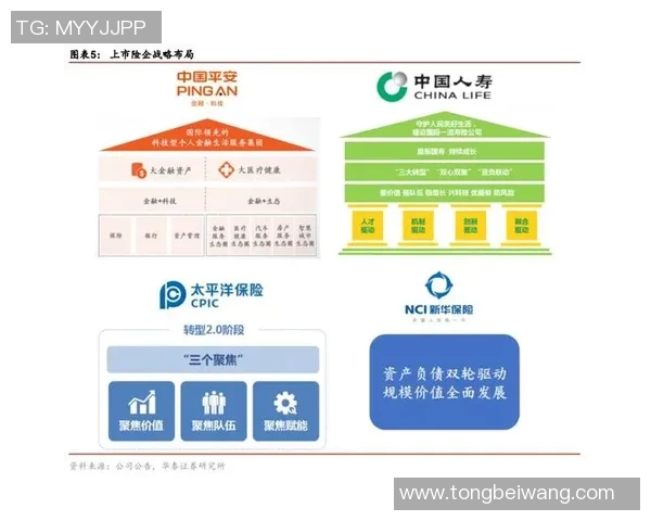 深入探讨RNG战术表现的数据分析与策略优化研究