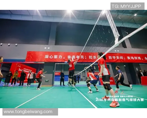 赵芳独家分享排球技巧与心得助你提升竞技水平与团队配合能力