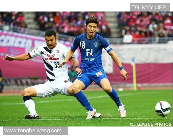 赞岐与福冈黄蜂激战正酣赛况分析与精彩瞬间回顾