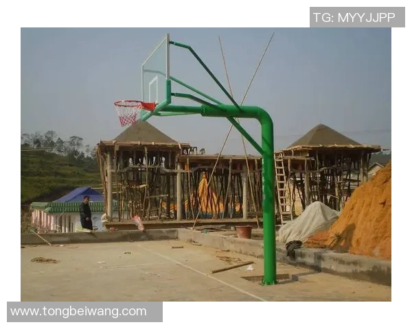 篮球明星与篮球架的完美结合探讨运动精神与竞技魅力的深度交融