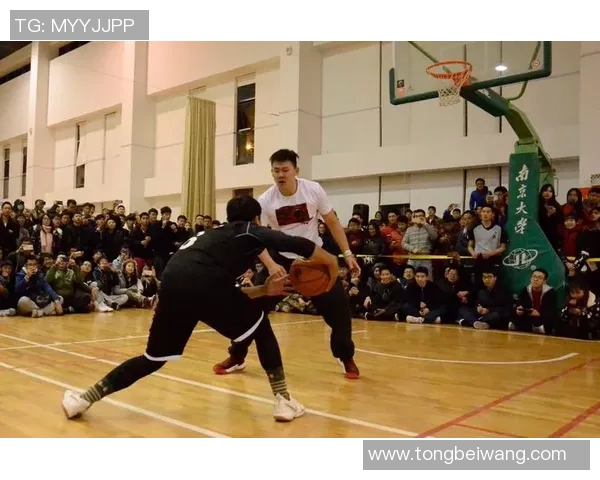 篮球明星茶杯的魅力与故事探秘让我们一起品味运动与艺术的完美结合