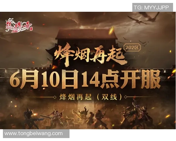 对话杨强：探索滑板世界的激情与挑战之旅