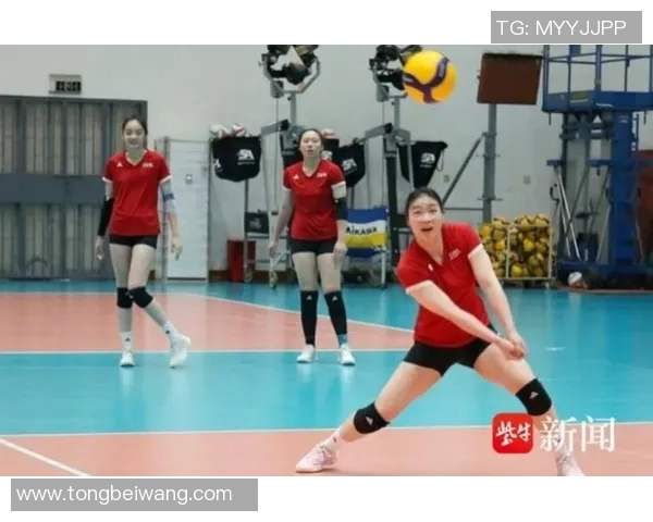 南京排球队在全国排球团队协作排行榜中荣获第四名展现出强大实力与团队精神