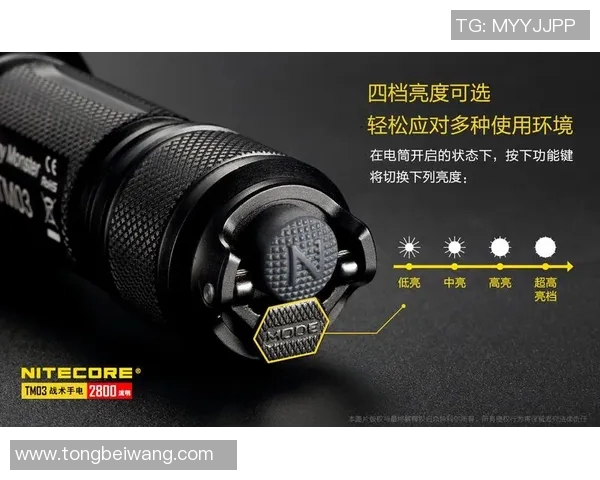 武汉滑板队整体压制打法深度分析与战术解读