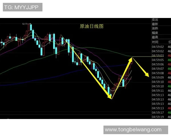 独家解析北京排球队战术对比与发展趋势的深度剖析